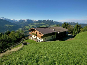 Gorgeous Chalet with Jacuzzi in Tyrol Hopfgarten Im Brixental